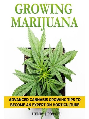 cover image of Growing Marijuana